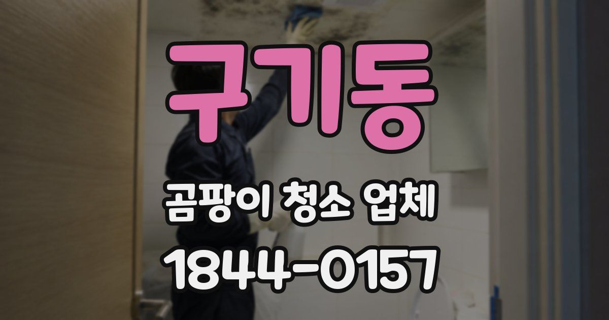 구기동 곰팡이 청소 업체