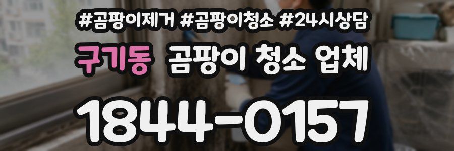 구기동 곰팡이 청소 업체
