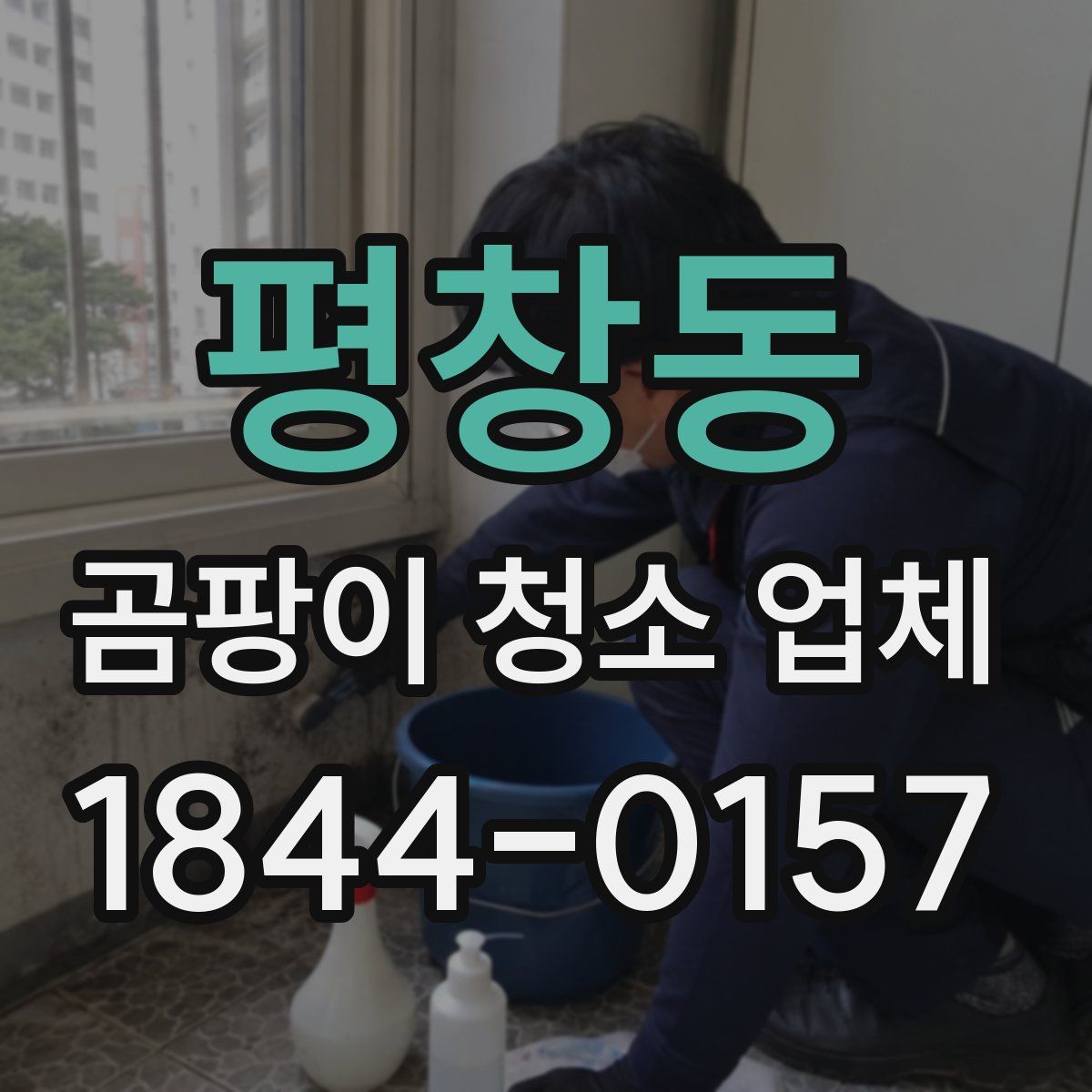 평창동 곰팡이 청소 업체