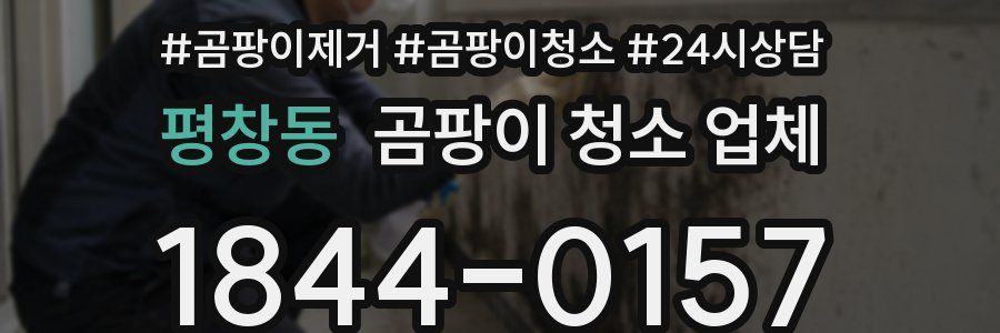평창동 곰팡이 청소 업체