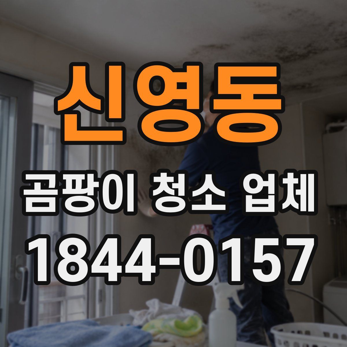 신영동 곰팡이 청소 업체