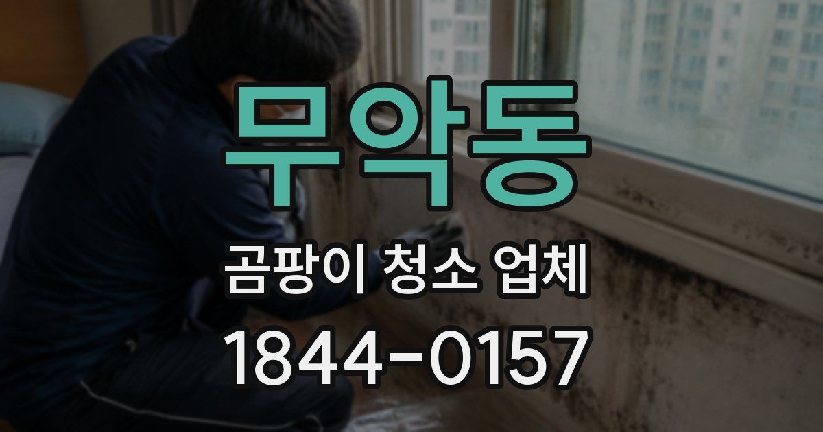 무악동 곰팡이 청소 업체