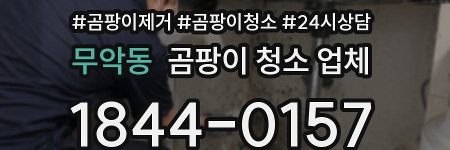 무악동 곰팡이 청소 업체