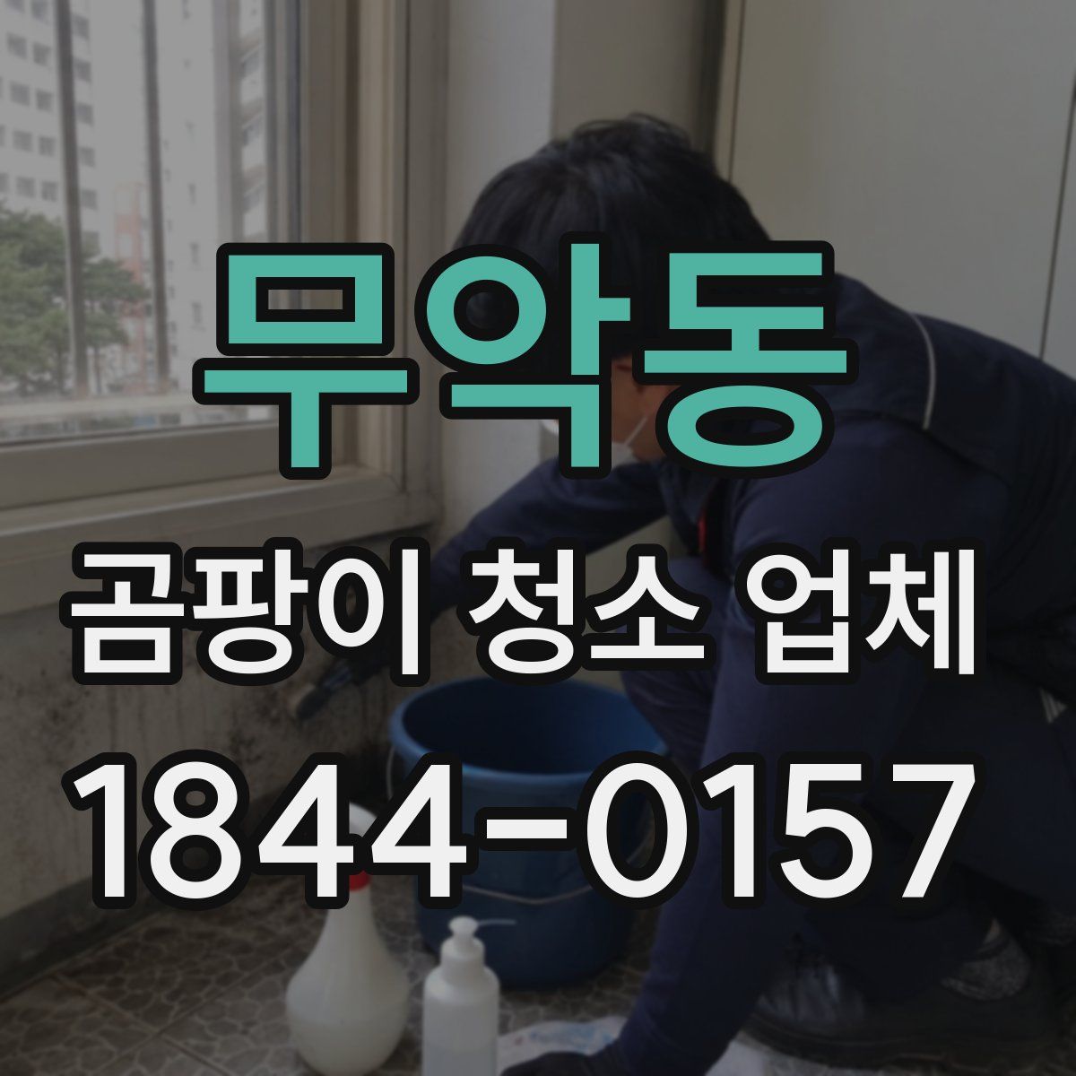 무악동 곰팡이 청소 업체