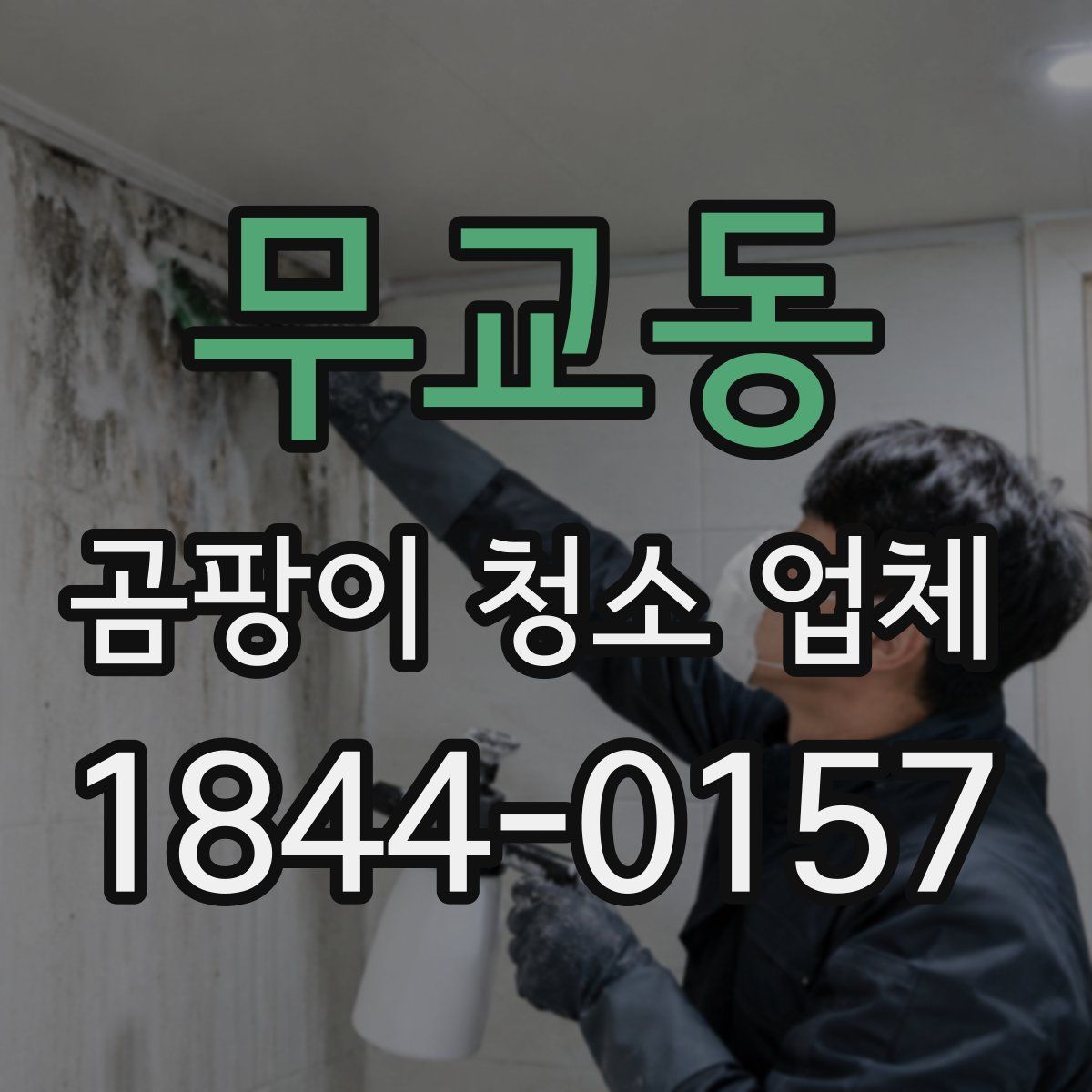 무교동 곰팡이 청소 업체