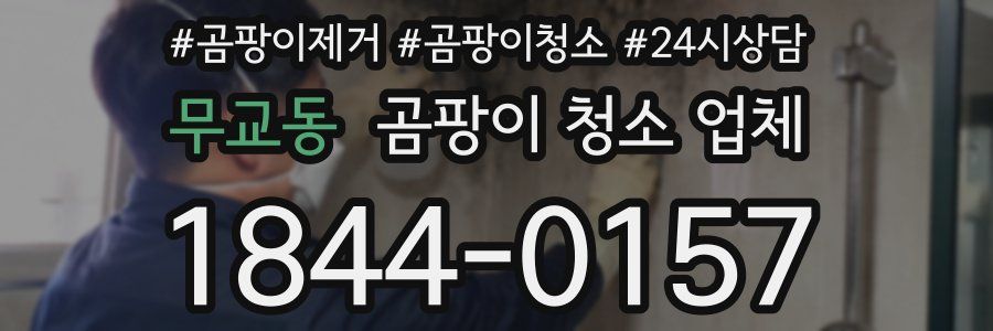 무교동 곰팡이 청소 업체