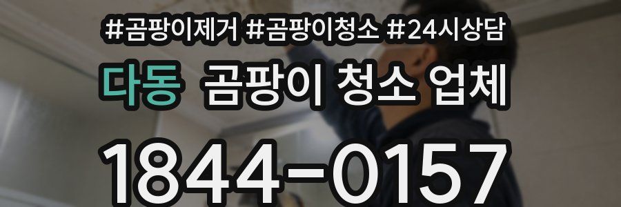 다동 곰팡이 청소 업체