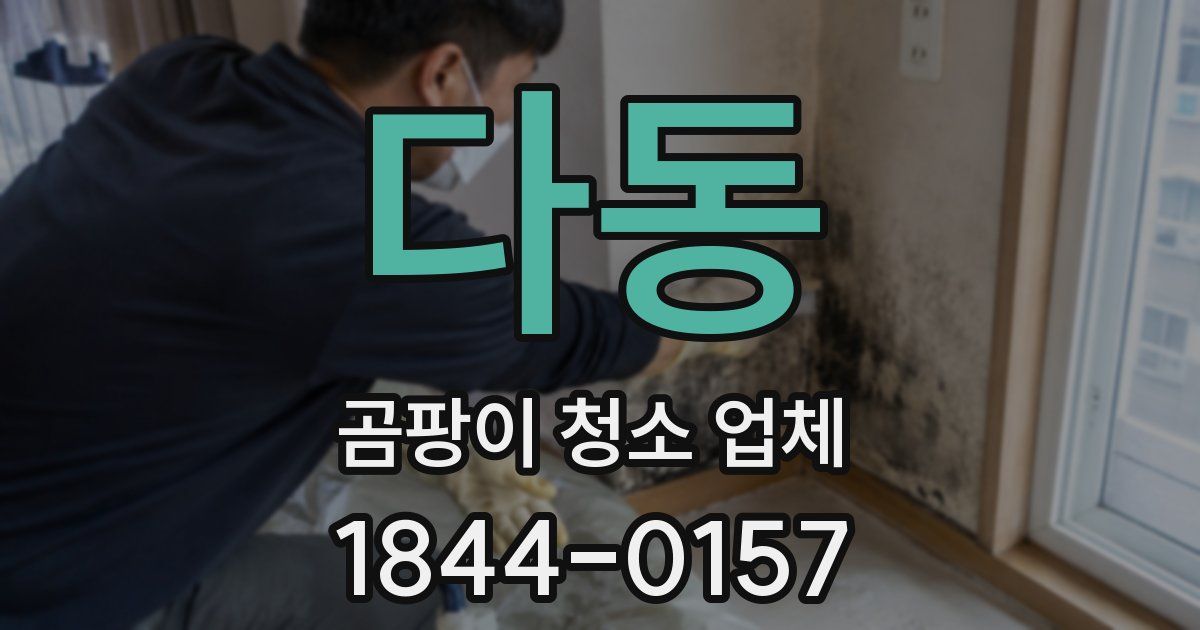 다동 곰팡이 청소 업체