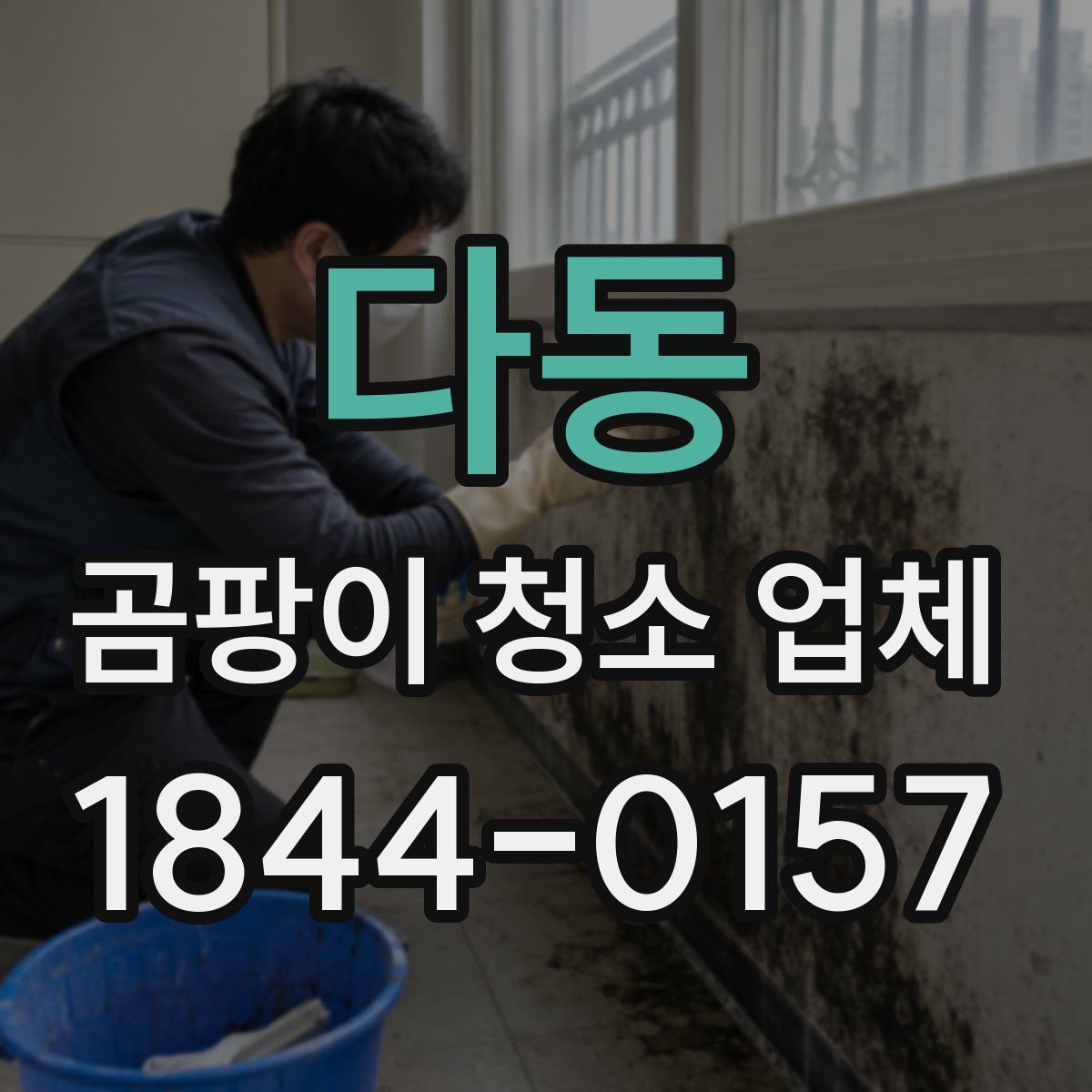 다동 곰팡이 청소 업체
