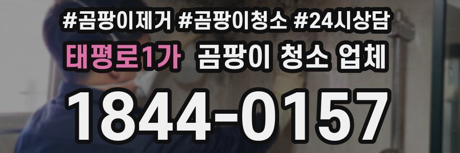 태평로1가 곰팡이 청소 업체