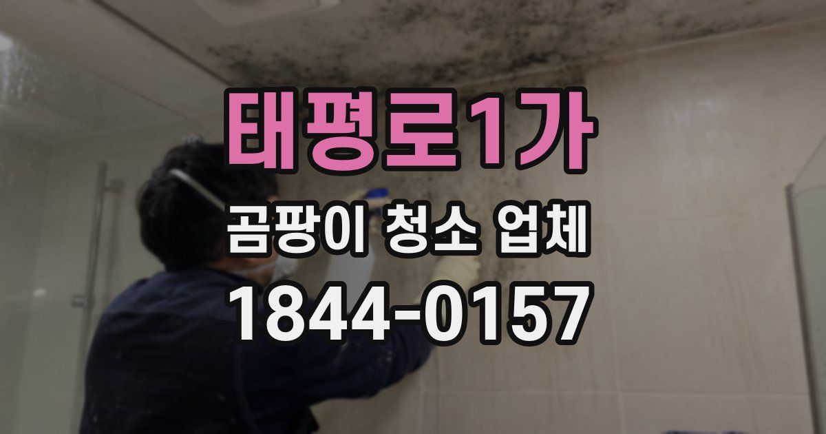 태평로1가 곰팡이 청소 업체