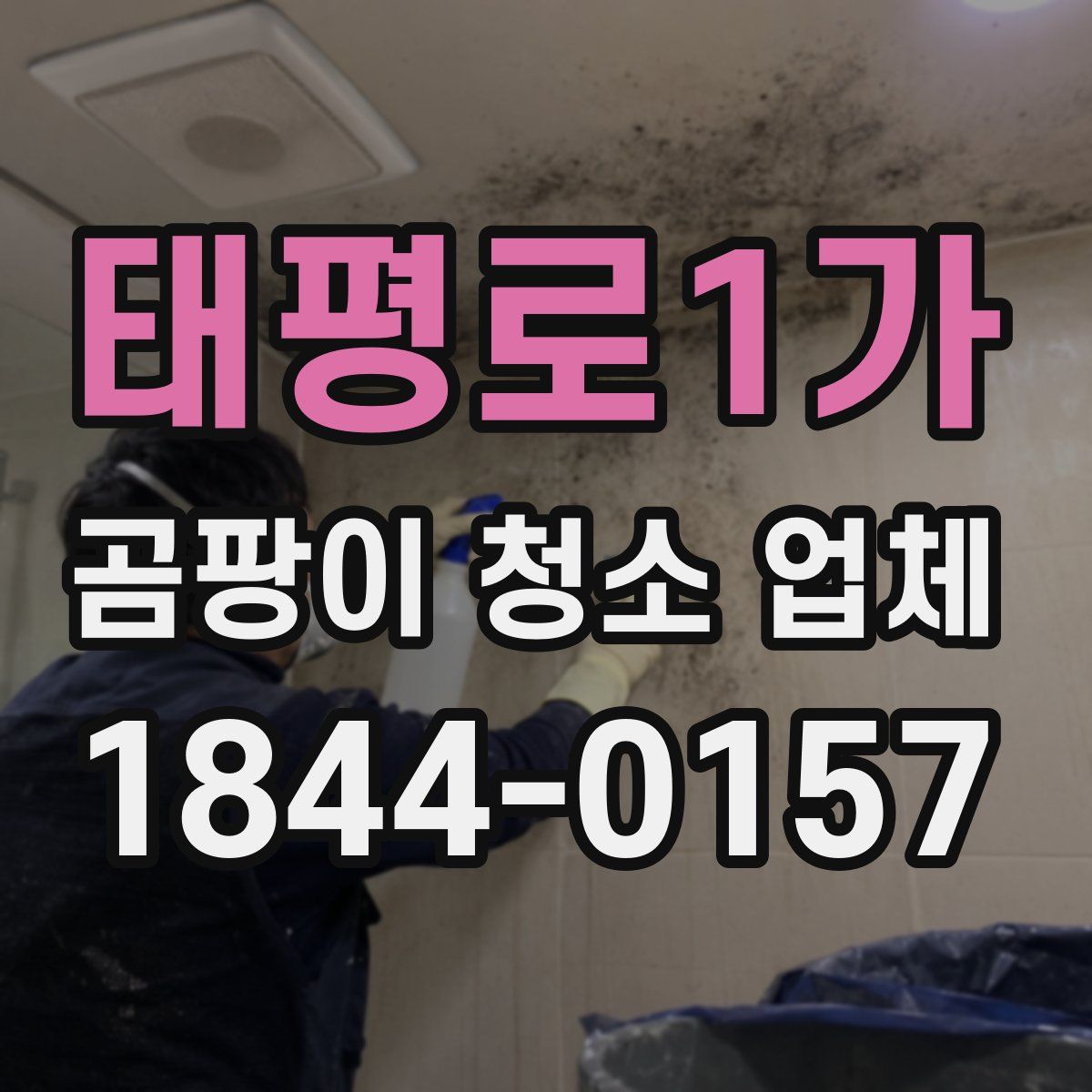 태평로1가 곰팡이 청소 업체