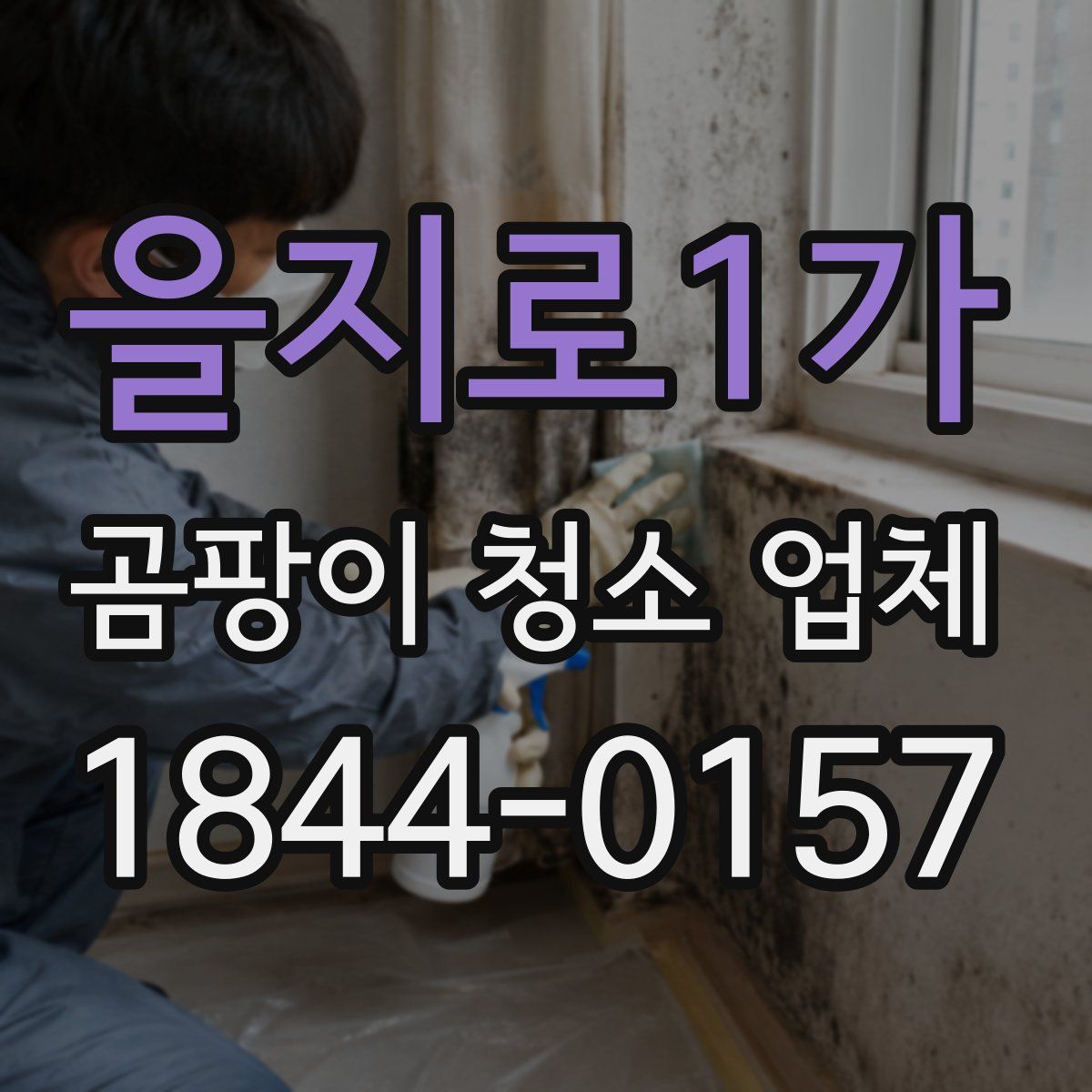 을지로1가 곰팡이 청소 업체
