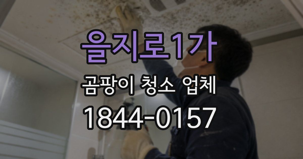 을지로1가 곰팡이 청소 업체
