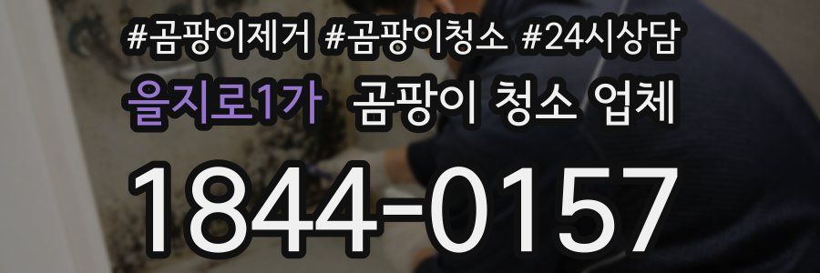 을지로1가 곰팡이 청소 업체