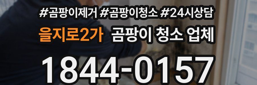 을지로2가 곰팡이 청소 업체