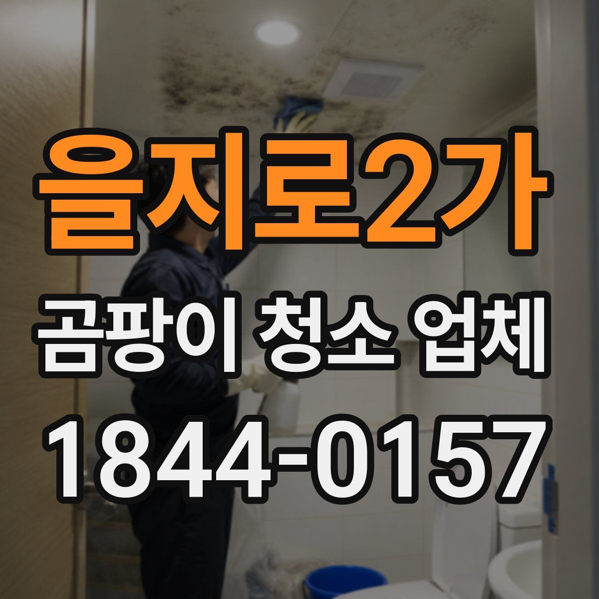 을지로2가 곰팡이 청소 업체