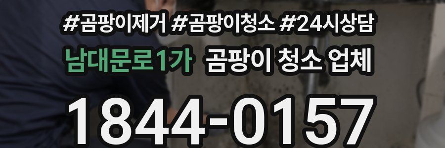 남대문로1가 곰팡이 청소 업체