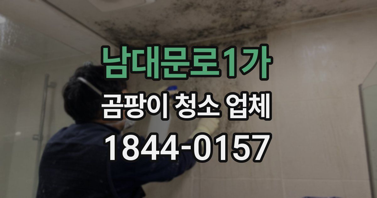남대문로1가 곰팡이 청소 업체
