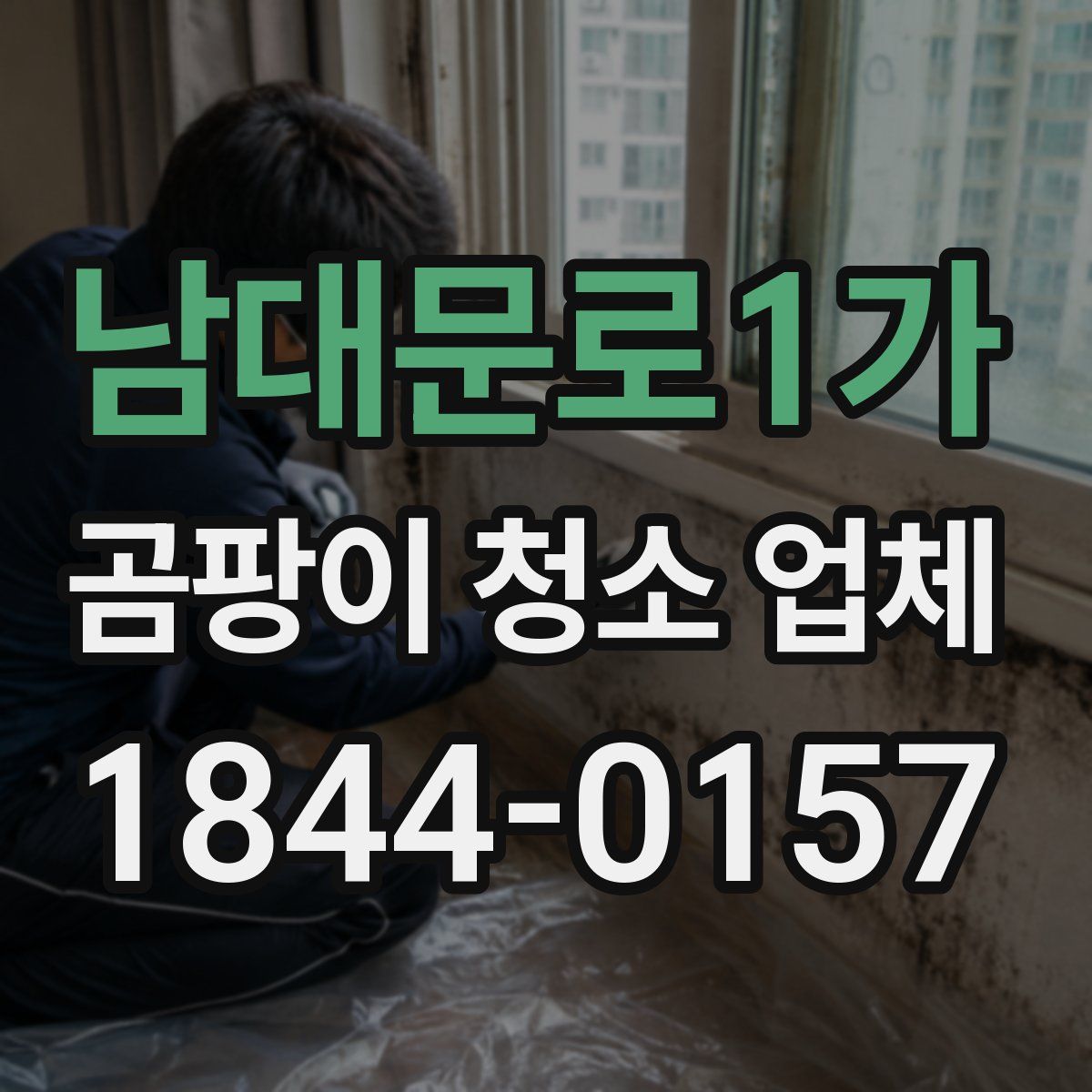 남대문로1가 곰팡이 청소 업체