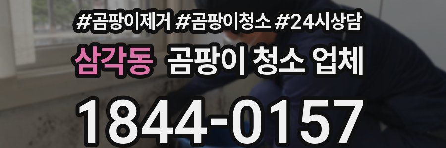 삼각동 곰팡이 청소 업체