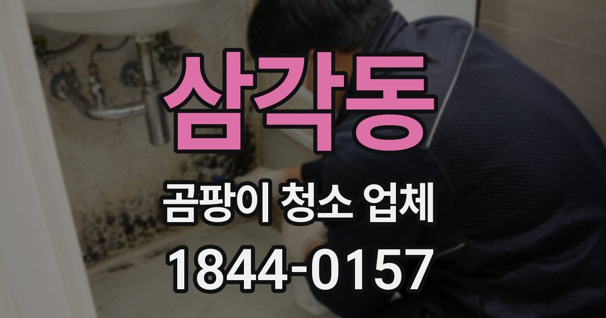 삼각동 곰팡이 청소 업체