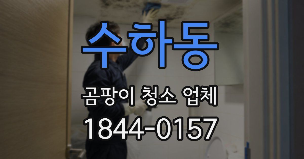 수하동 곰팡이 청소 업체