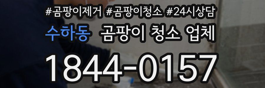 수하동 곰팡이 청소 업체