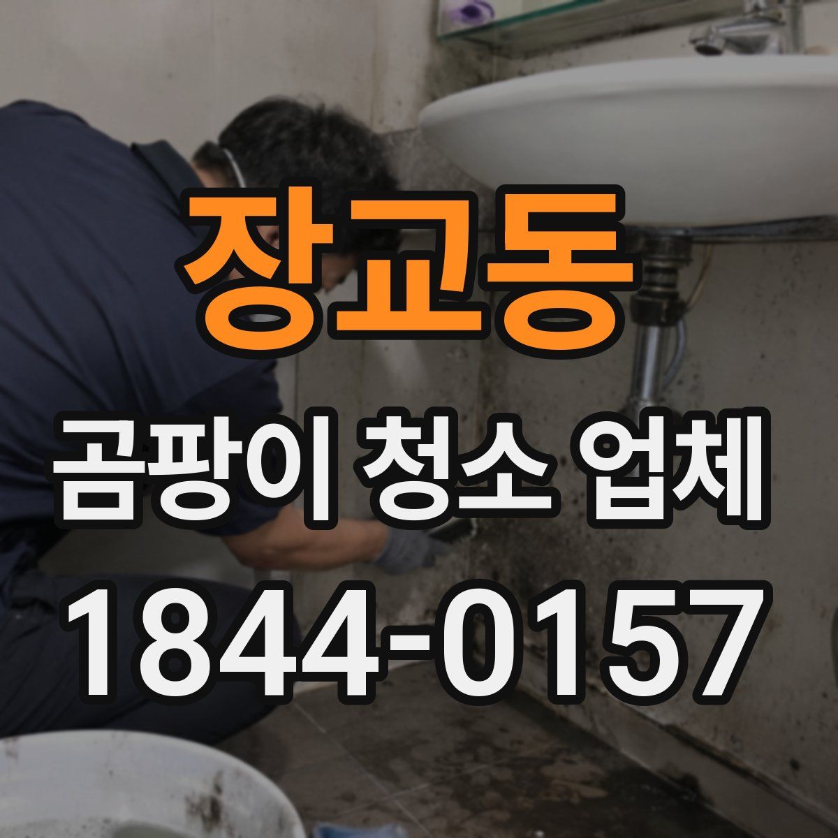 장교동 곰팡이 청소 업체