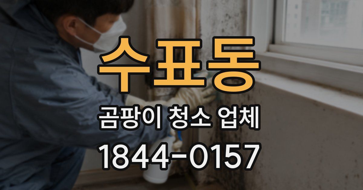 수표동 곰팡이 청소 업체