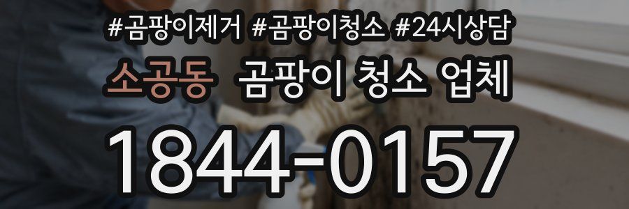 소공동 곰팡이 청소 업체