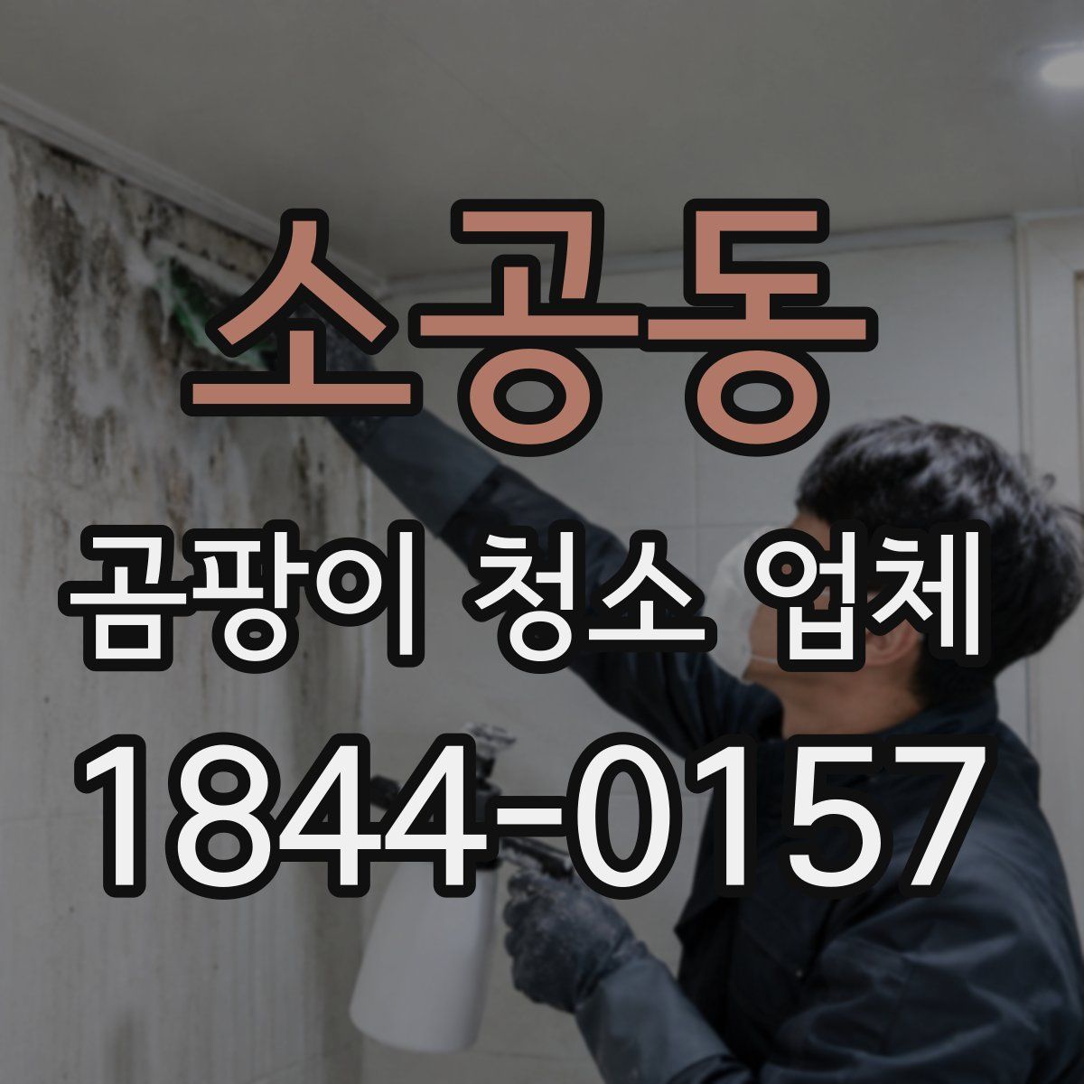 소공동 곰팡이 청소 업체