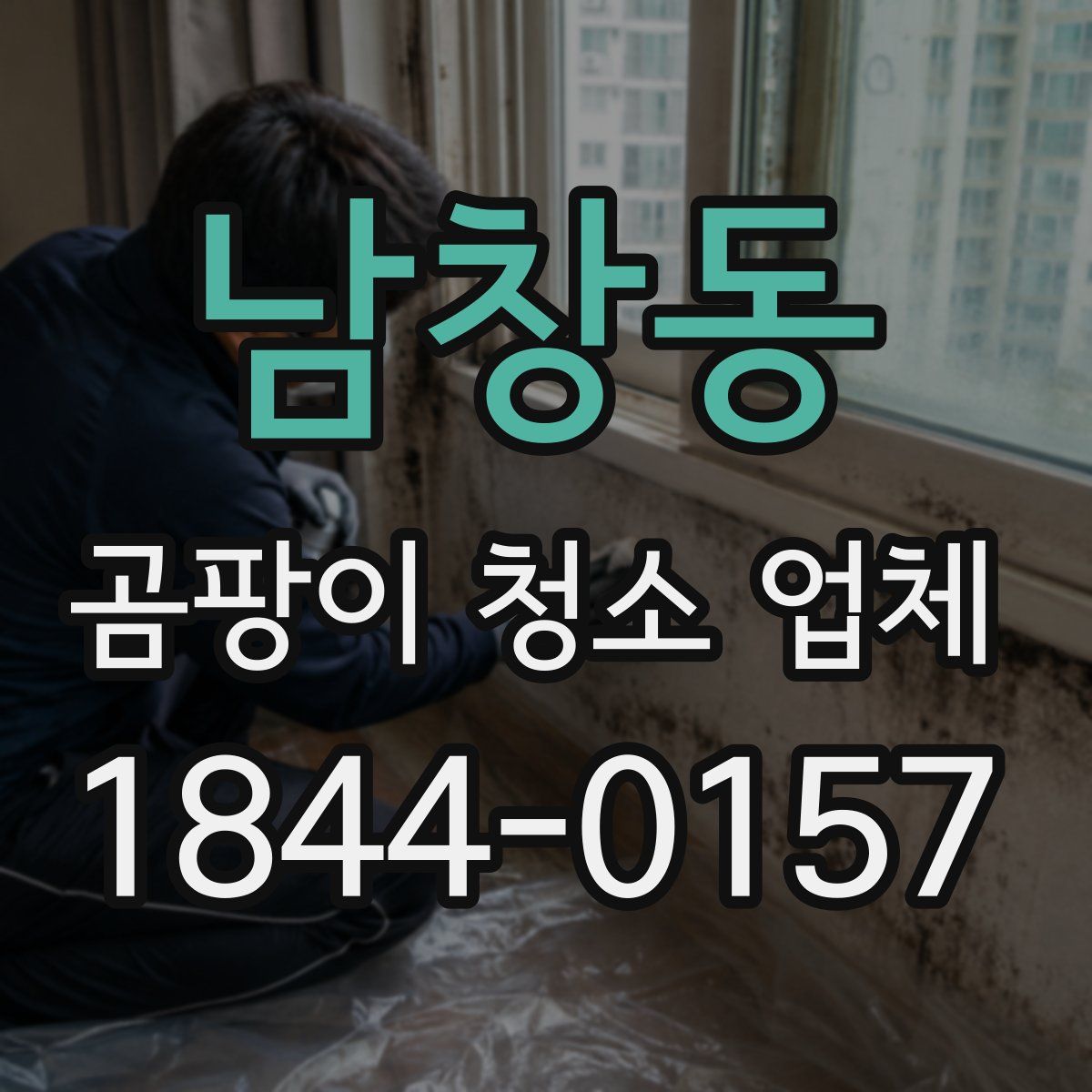 남창동 곰팡이 청소 업체
