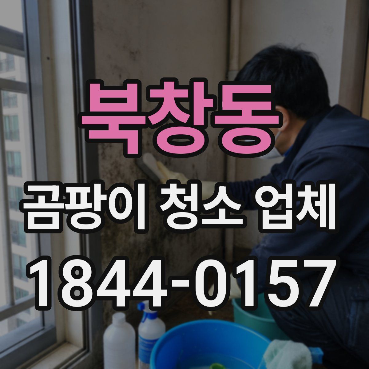 북창동 곰팡이 청소 업체