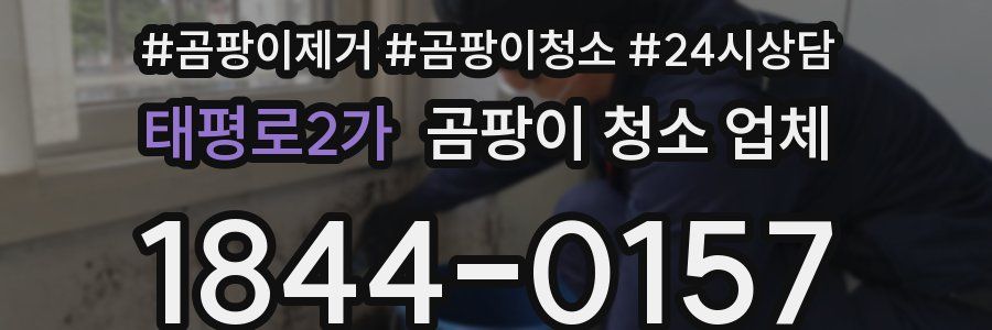태평로2가 곰팡이 청소 업체