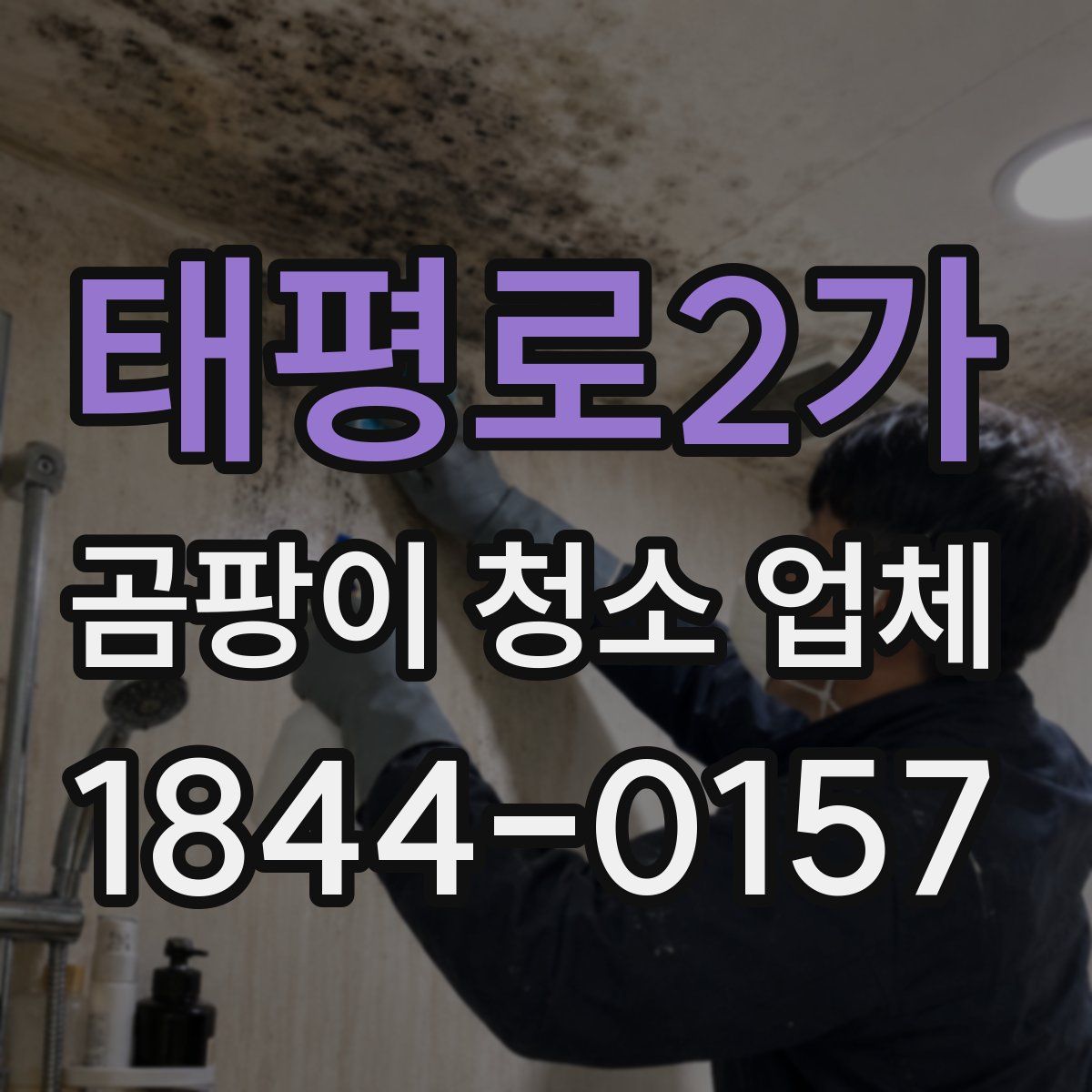 태평로2가 곰팡이 청소 업체