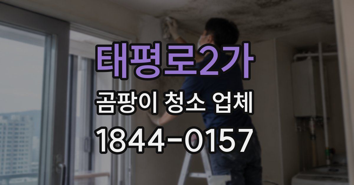태평로2가 곰팡이 청소 업체