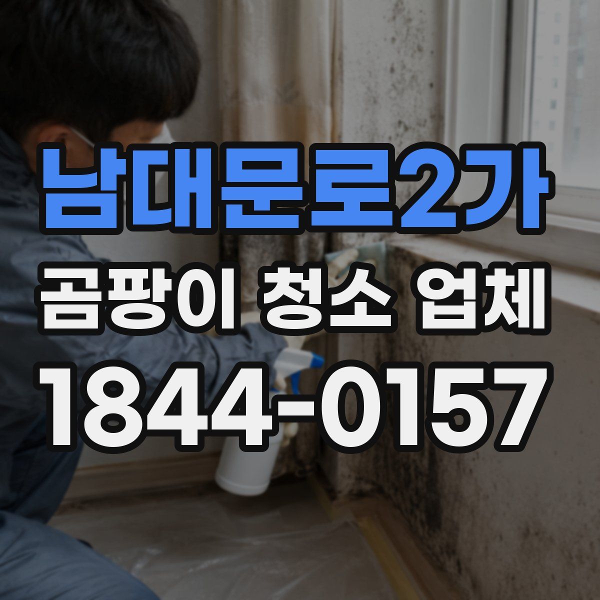남대문로2가 곰팡이 청소 업체