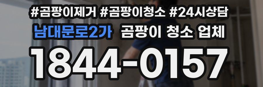 남대문로2가 곰팡이 청소 업체