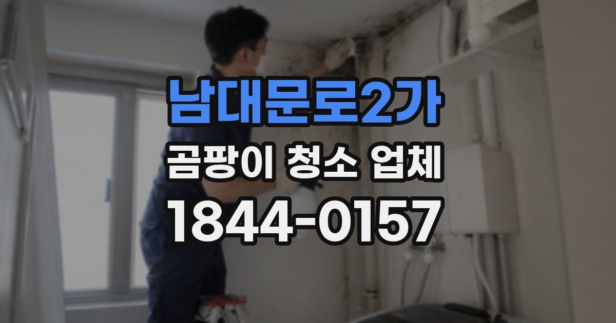 남대문로2가 곰팡이 청소 업체