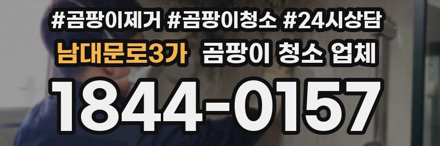 남대문로3가 곰팡이 청소 업체