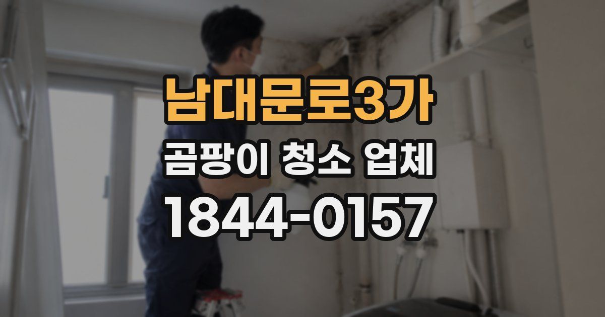남대문로3가 곰팡이 청소 업체
