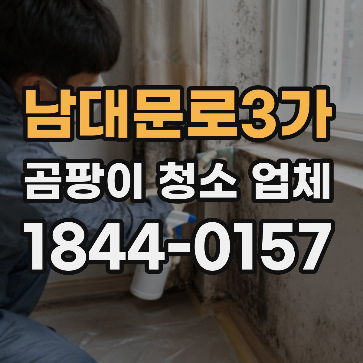 남대문로3가 곰팡이 청소 업체