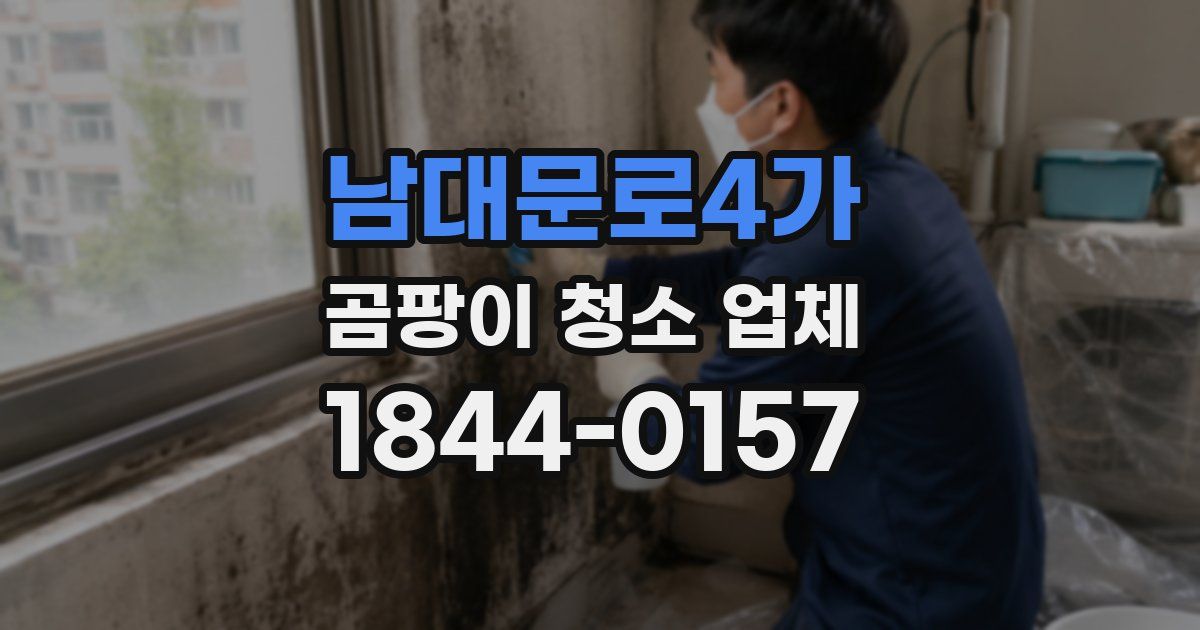 남대문로4가 곰팡이 청소 업체