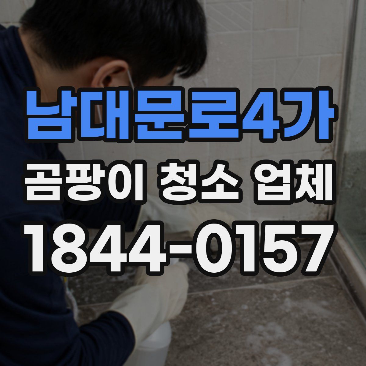 남대문로4가 곰팡이 청소 업체