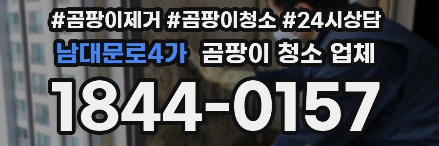 남대문로4가 곰팡이 청소 업체