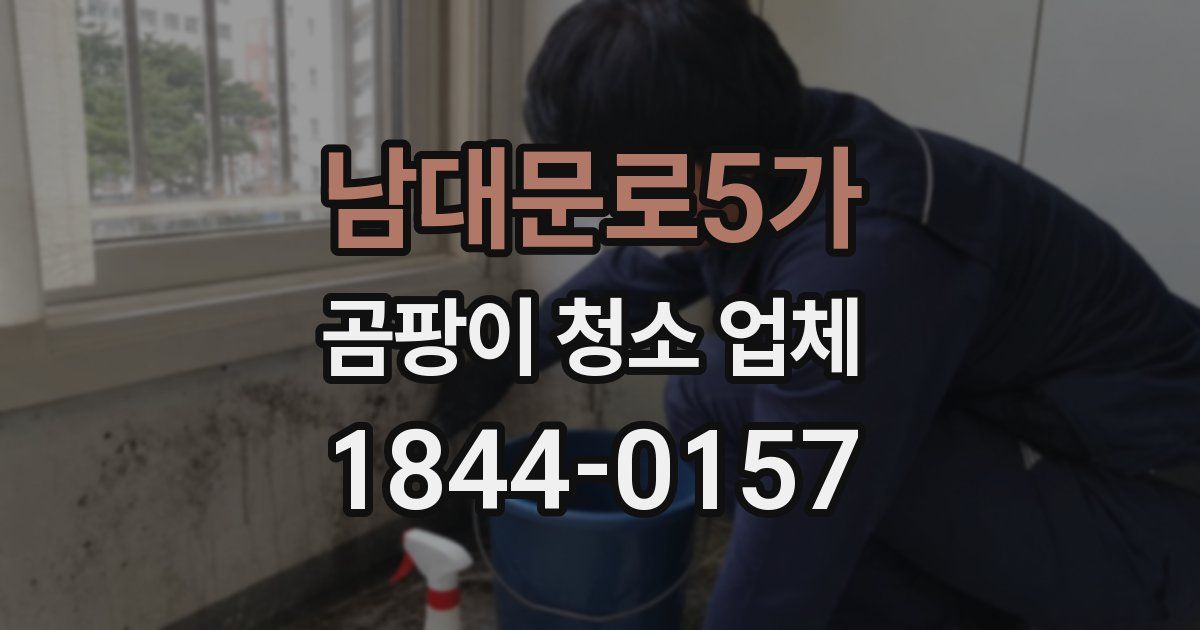 남대문로5가 곰팡이 청소 업체