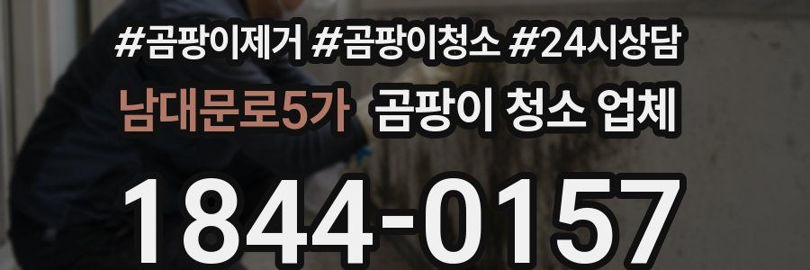 남대문로5가 곰팡이 청소 업체