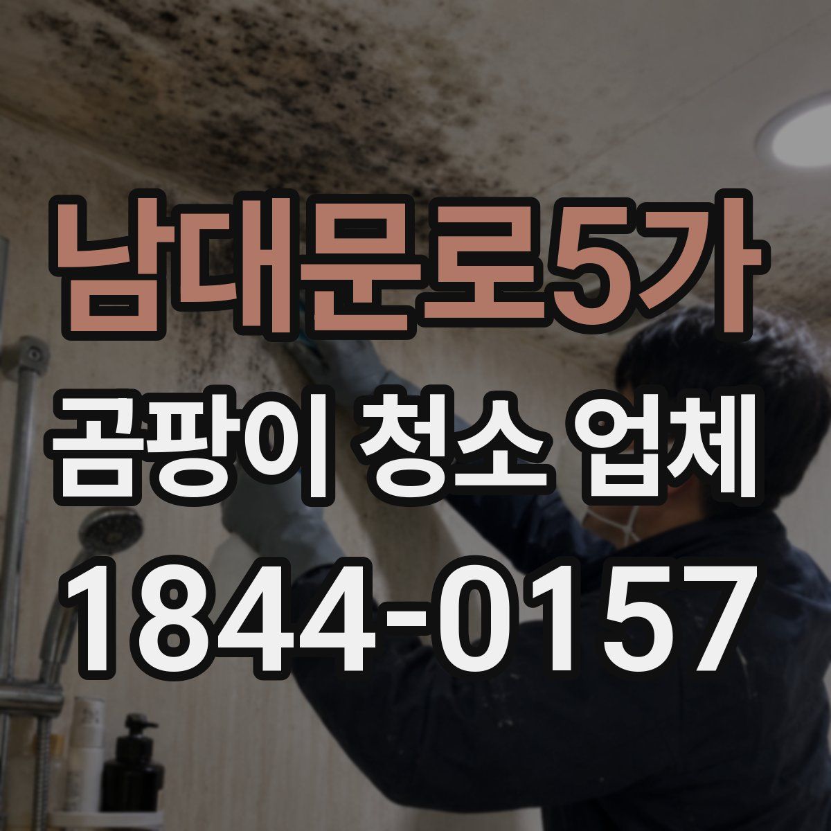 남대문로5가 곰팡이 청소 업체