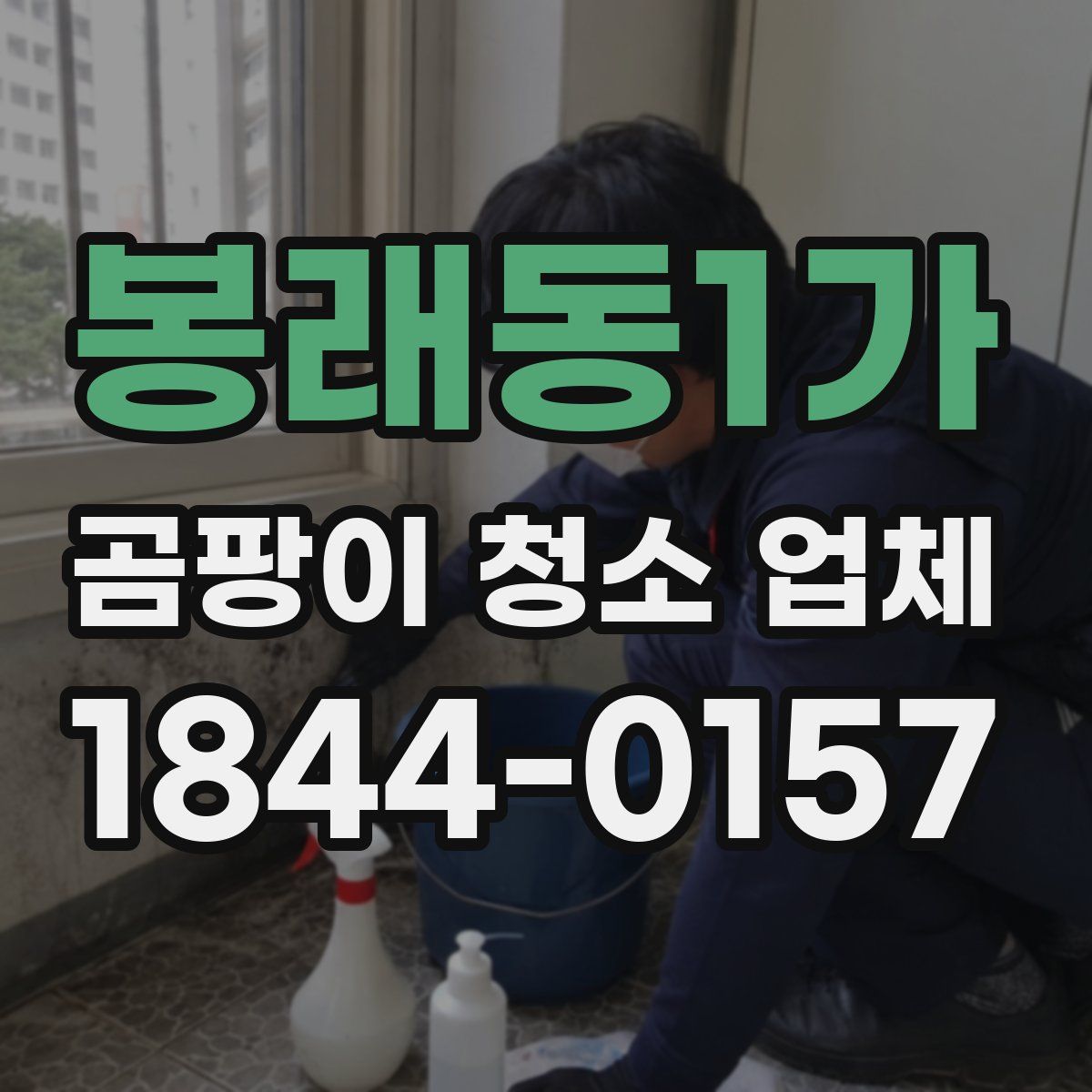 봉래동1가 곰팡이 청소 업체